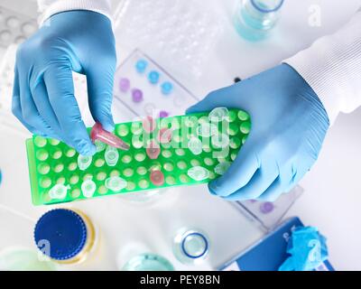 Scienziato preparare un campione in una provetta Eppendorf per analisi chimiche. Foto Stock