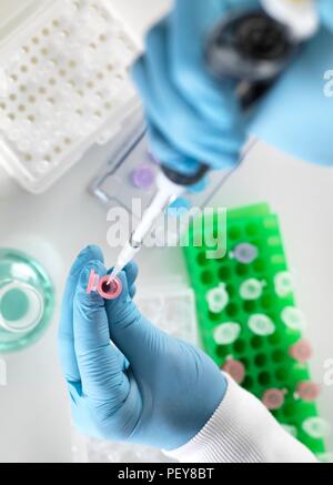 Scienziato preparare un campione in una provetta Eppendorf per analisi chimiche. Foto Stock