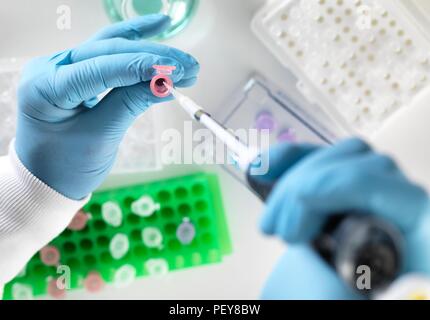 Scienziato preparare un campione in una provetta Eppendorf per analisi chimiche. Foto Stock