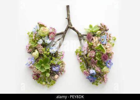 Fiori di Primavera che rappresentano i polmoni umani, concettuale studio shot. Foto Stock