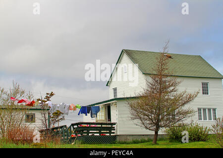 Panni in linea Elliston, Terranova, Canada. La cantina di radice dei capitali del mondo. Foto Stock