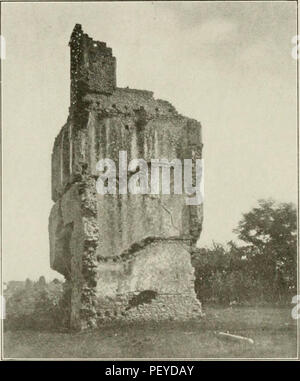 Rossiana; tutti gli atti e documenti relativi alla storia e alla genealogia della antica e nobile casa di Ross, di Ross-shire, la Scozia e la sua discesa dall'antica earls di Ross, insieme con la discesa della antica e storica famiglia di leggere, da Rede di trogolo-fine, Reade di Barton corte, Berks, e leggere del Delaware. Inoltre conto di alcune delle relative famiglie Foto Stock