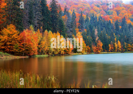 Paesaggio autunnale in corrispondenza del bordo della Santa Ana Lago Foto Stock