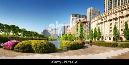 Vista panoramica di Tokyo, Giappone dall'aria Foto Stock