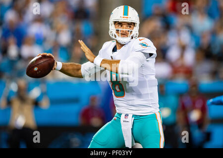 North Carolina, USA. Il 17 agosto 2018. Miami Dolphins quarterback Brock Osweiler (8) durante la preseason NFL partita di calcio tra i delfini di Miami e il Carolina Panthers Venerdì 17 Agosto, 2018 a Charlotte, NC. Giacobbe Kupferman/CSM Credito: Cal Sport Media/Alamy Live News Foto Stock