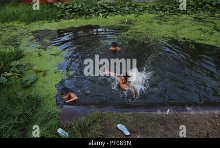 Srinagar, Indiano-controllato del Kashmir. 18 Agosto, 2018. I bambini del Kashmir bagnarsi in la dal lago in Srinagar city, la capitale estiva di Indiano-Kashmir controllata, e il agosto 18, 2018. Credito: Javed Dar/Xinhua/Alamy Live News Foto Stock