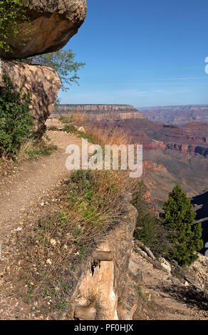 AZ00314-00...ARIZONA - Il GrandView Trail lungo il bordo della scogliera ripida nel Parco Nazionale del Grand Canyon. Foto Stock