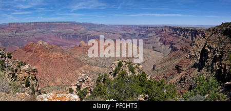 AZ00318-00...ARIZONA - Una vista panoramica che si affaccia sul Grand Canyon dal punto Navajo nel Parco Nazionale del Grand Canyon. Foto Stock