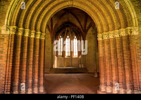 Area di chiostri del convento des giacobini chiostri Toulouse Francia Foto Stock