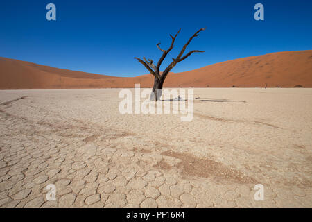 Il deserto dell'Africa al tramonto con acqua non e molto asciutto Foto Stock