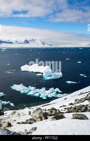 Calotte glaciali in Antartide con iceberg nell'oceano nuotare intorno e fusione in mare Foto Stock
