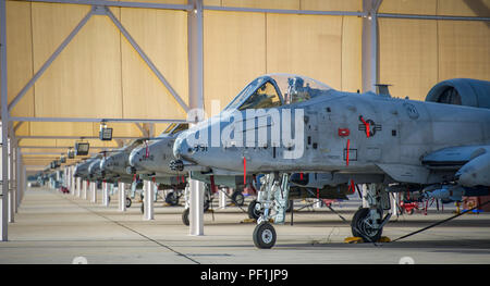 A-10 Thunderbolt II aeromobili sedersi sul flightline a Davis-Monthan Air Force Base in Arizona il 4 marzo 2016. (U.S. Air Force Foto di Tech. Sgt. Brandon Shapiro) Foto Stock