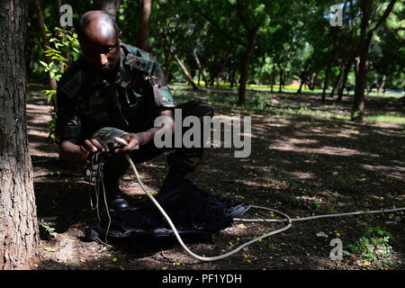 Un membro della Tanzania la Difesa del Popolo vigore prepara il rigging per rimuovere finti ordigni inesplosi da un albero durante una miniera umanitaria azione di formazione di livello 1 di classe a Dar es Salaam, Tanzania, Feb 17, 2016. L'eliminazione degli ordigni esplosivi tecnici della Combined Joint Task Force-Horn dell Africa ha insegnato la classe, migliorando il TPDF la capacità di identificare e smaltire i residui di esplosivo da conflitti precedenti. (U.S. Air Force foto di Tech. Sgt. Dan DeCook) Foto Stock