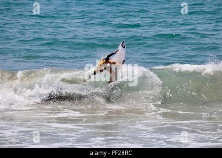 Stephanie Gilmore competere nel US Open di surf 2018 Foto Stock