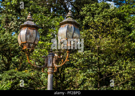 Vecchio arrugginito abbandonato street lanterns perso nella foresta di pioggia Foto Stock