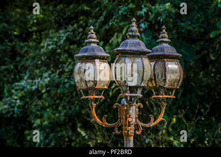 Vecchio arrugginito abbandonato street lanterns perso nella foresta di pioggia Foto Stock