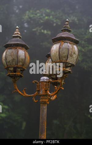 Vecchio arrugginito abbandonato street lanterns perso nella foresta di pioggia Foto Stock