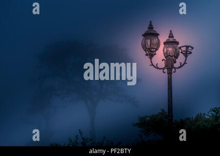 Vecchio arrugginito abbandonato street lanterns perso nella foresta di pioggia Foto Stock