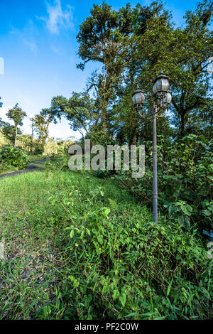 Strada persi nella giungla ricoperta di vegetazione verde Foto Stock