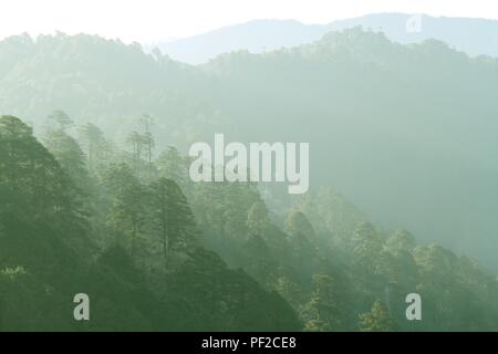 Strato di verde della foresta e la gamma della montagna nella nebbia. Vista da Dochula Pass sulla strada da Thimphu a Punaka, Bhutan Foto Stock