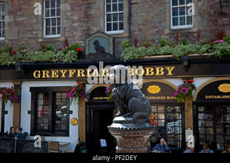 La Grayfriar Bobby con naso usurati, Edimburgo, Scozia, Regno Unito Foto Stock