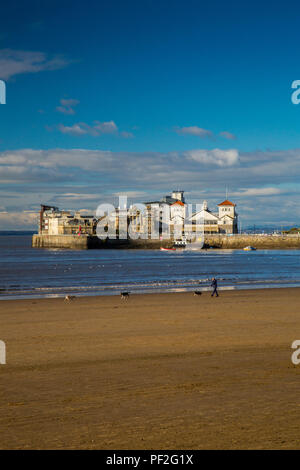 Dog walker su una quasi deserta spiaggia di fronte Knightstone isola in inverno a Weston-super-Mare, North Somerset, Inghilterra, Regno Unito Foto Stock