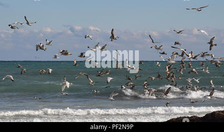 Pentewan Sands, Pentewan, Cornwall, 050218 Foto Stock