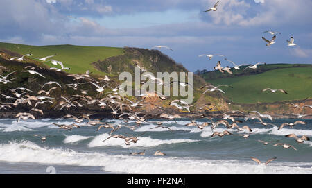 Pentewan Sands, Pentewan, Cornwall, 050218 Foto Stock