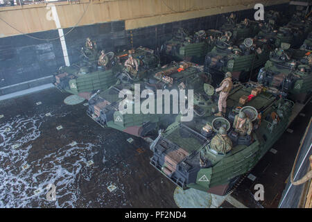 160311-N-VS214-023 EST DEL MARE (11 marzo 2016) si riempie di acqua di mare e il mazzo di dock landing ship USS harpers Ferry (LSD 49) come l'assalto anfibio veicoli (AAV) preparare per il lancio. USS harpers Ferry è assegnato al boxer anfibio gruppo pronto e partecipa in esercizio Ssang Yong 16. Ssang Yong è una biennale combinato esercizio anfibio condotto da avanti-distribuito le forze degli Stati Uniti con la Repubblica di Corea Navy e Marine Corps, Esercito Australiano e Royal New Zealand forze militari al fine di rafforzare la nostra interoperabilità e i rapporti di lavoro in una vasta gamma di mezzi militari oper Foto Stock