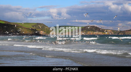 Pentewan Sands, Pentewan, Cornwall, 050218 Foto Stock