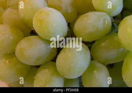 Uva verde close up con gocce di acqua su di essi Foto Stock