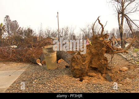 Home rasa al suolo con albero totalmente sradicato dal tornado nel recente wild fire fire storm in Redding, California. Fumo e cenere in aria come Foto Stock