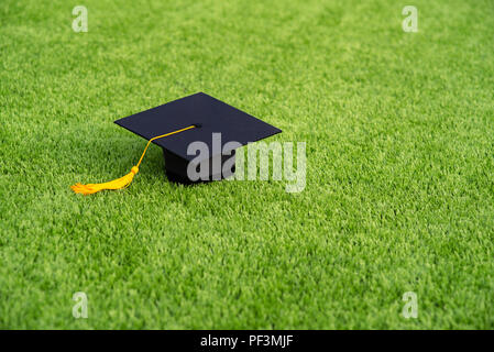 Graduazione cappello nero e giallo infiorescenza staminifera ritmo sul campo verde Foto Stock