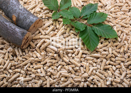 Gran mucchio di biomassa di quercia comprendenti pellet di legno e foglie Foto Stock