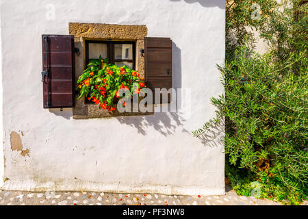 Finestra con tapparelle su il rustico in pietra a parete, casa mediterranea con fiori e Olive tree Foto Stock