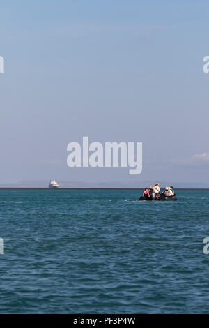 L'illusione ottica di L'Austral arenati su Montgomery Reef, Western Australia a bassa marea Foto Stock