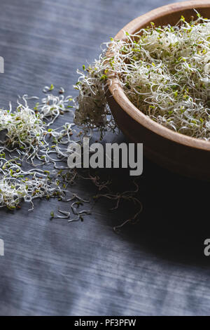 I germogli di erba medica in ciotola di legno su sfondo scuro Foto Stock