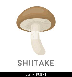 I funghi shiitake icona in stile cartoon isolati su sfondo bianco. Simbolo di funghi illustrazione vettoriale. Illustrazione Vettoriale
