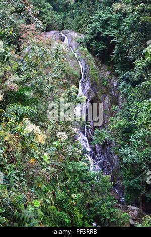 Cascata in LA ZUNGA - Ecuador confine -San Ignacio- Dipartimento di Cajamarca .PERÙ Foto Stock