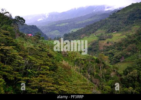 Cascata in LA ZUNGA - Ecuador confine -San Ignacio- Dipartimento di Cajamarca .PERÙ Foto Stock