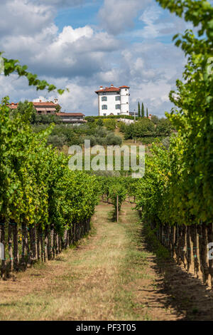 Villaggio di Ceglo, Zegla anche in sloveno famosa regione vinicola di Goriska Brda vista attraverso i vigneti e i frutteti, illuminato dal sole e nuvole in background Foto Stock