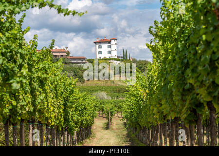 Vista attraverso filari di vigneti sul villaggio di Ceglo, Zegla anche in sloveno famosa regione vinicola di Goriska Brda e frutteti, illuminato dal sole e nuvole in background Foto Stock