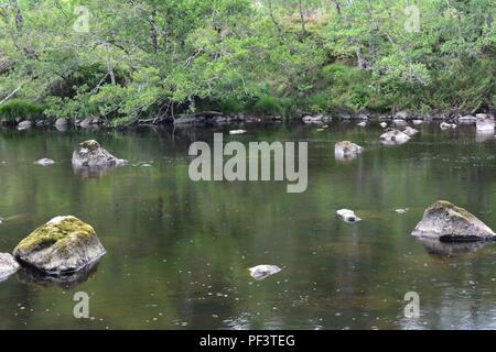 River a Rogie Falls, A835, a Strathpeffer, Scozia Foto Stock