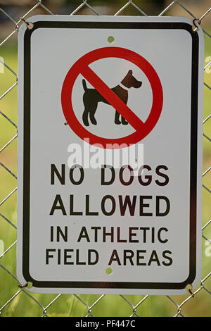 I cani non sono ammessi nel campo di atletica aree segno su una catena collegamento recinto Foto Stock