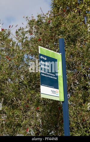 Riserva Kawaka, Titirangi Foto Stock