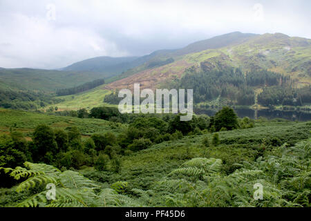 La lussureggiante vegetazione e la vista sul Glen Trool verso Loch Trool di Galloway Forest Park nel sud della Scozia. Foto Stock