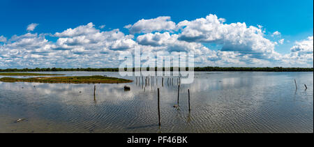 Parc Ornithologique vicino a Bordeaux Francia un habitat delle zone umide per la conservazione degli uccelli e bird watching in un panoramico paesaggio panoramico vista Foto Stock