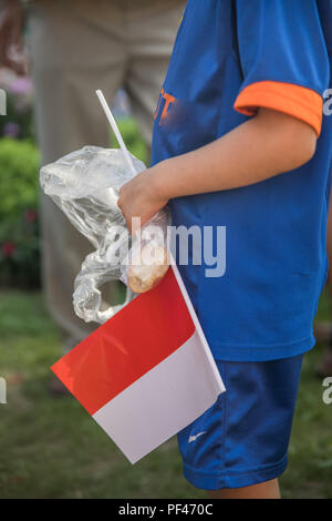 Bambino con il bianco e il rosso bandiera polacca in mano. La celebrazione dell anniversario dell'Insurrezione di Varsavia. Simboli polacca. Foto Stock