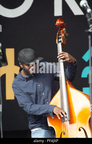 Glanusk Park, Brecon, Galles, 18 agosto 2018. Secondo giorno del festival musicale Green Man nelle Brecon Beacons Mountains in Galles. Nella foto: Il contrabbassista della Nubya Garcia Band Daniel Casimir in azione sul Mountain Stage principale. Crediti: Rob Watkins/Alamy Live News. INFO: Nubya Garcia è una sassofonista e compositrice jazz britannica, celebrata per le sue performance dinamiche e il suo suono innovativo. Emergendo come figura di spicco nella scena jazz contemporanea, il suo acclamato album di debutto "Source" mette in mostra la sua miscela di influenze jazz, reggae e afrobeat. Foto Stock