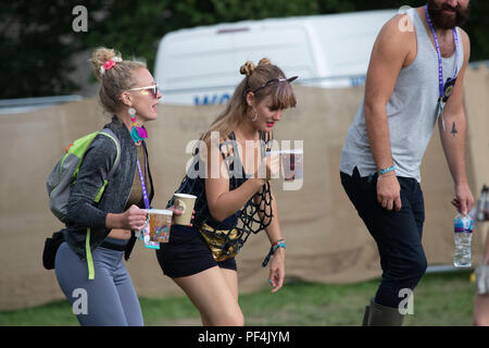 Glanusk Park, Brecon, Galles, 18 agosto 2018. Secondo giorno del festival musicale Green Man nelle Brecon Beacons Mountains in Galles. Un paio di donne portano birre e caffè per i loro amici. Foto generiche della folla e del sito durante il festival. Crediti: Rob Watkins/Alamy Live News Foto Stock